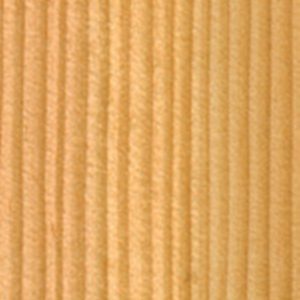Douglas fir