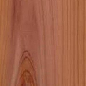 cedar